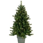 brad-de-craciun-in-ghiveci-175-200-cm