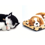 pisica si catel interactiv